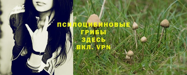 не бодяженный Новозыбков