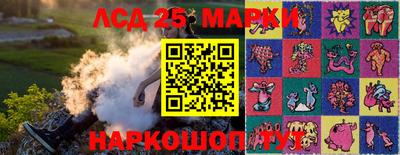 a pvp Камышлов