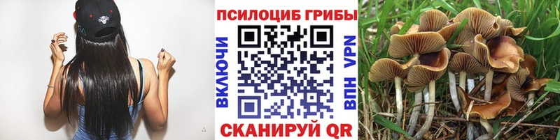 Псилоцибиновые грибы ЛСД  Сочи 