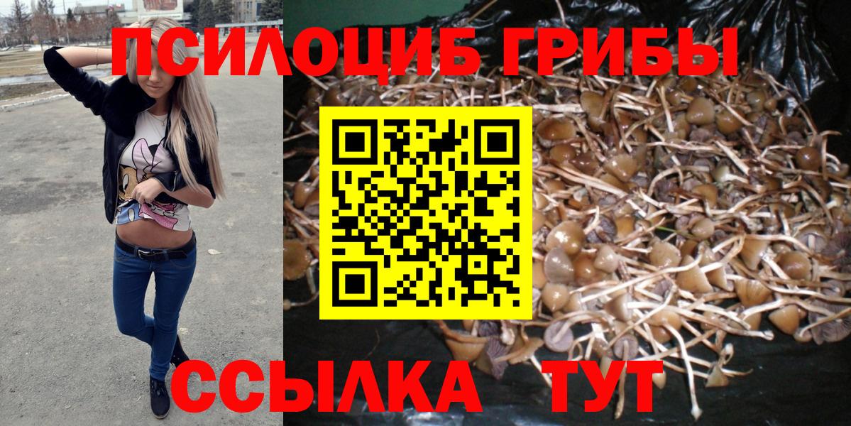 Псилоцибиновые грибы Psilocybine cubensis Сочи