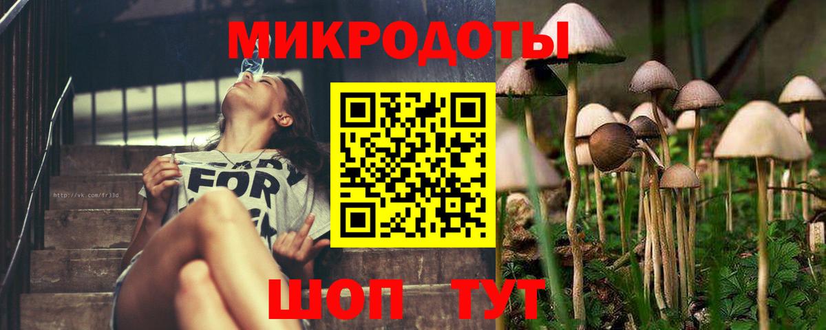 Сочи  Псилоцибиновые грибы GOLDEN TEACHER  Псилоцибиновые грибы мухоморы  Вход с VPN 